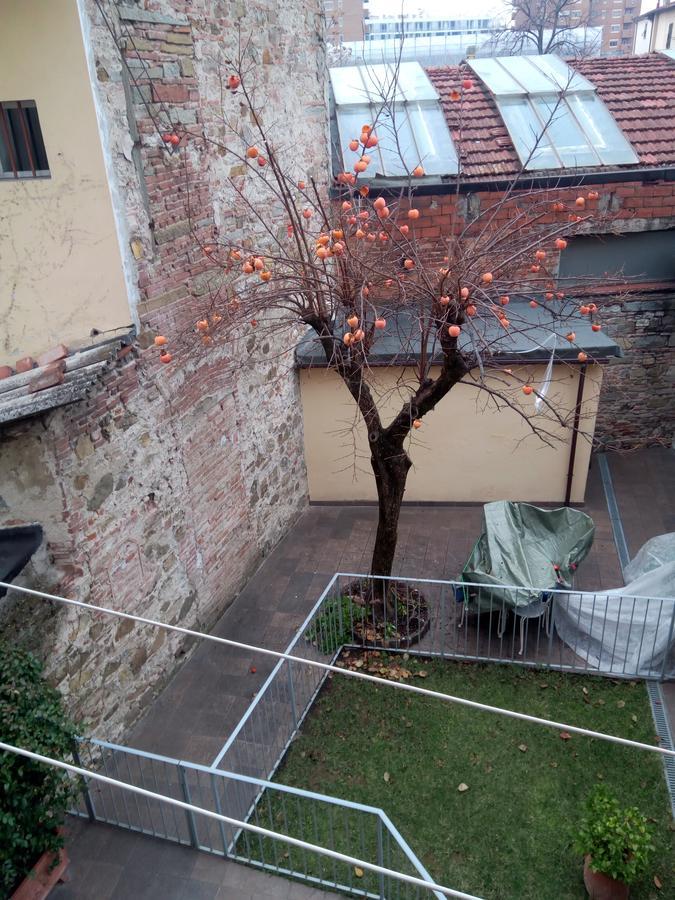 Appartamento Rifredi Florence Luaran gambar